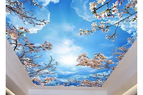 3D натяжной потолок весеннее небо