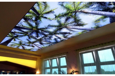 3D натяжной потолок тропики