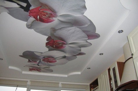 Натяжной потолок с фотопечатью орхидеи